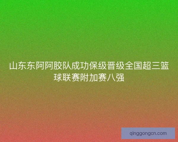 山东东阿阿胶队成功保级晋级全国超三篮球联赛附加赛八强 山东东阿阿胶队成功保级晋级全国超三篮球联赛附加赛八强