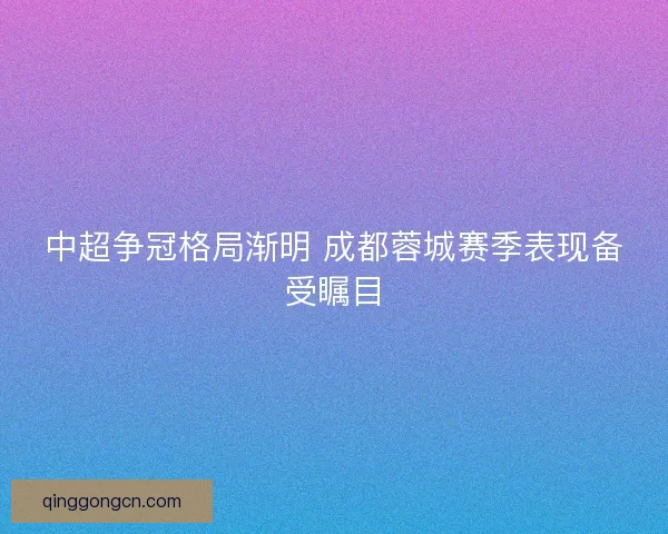 中超争冠格局渐明 成都蓉城赛季表现备受瞩目