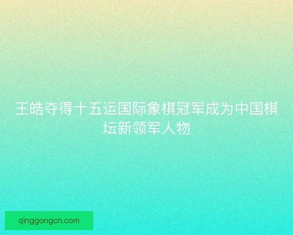 王皓夺得十五运国际象棋冠军成为中国棋坛新领军人物 王皓夺得十五运国际象棋冠军成为中国棋坛新领军人物