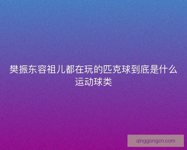 樊振东容祖儿都在玩的匹克球到底是什么运动球类 樊振东容祖儿都在玩的匹克球到底是什么运动球类