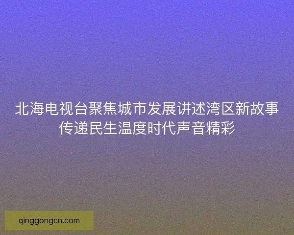 北海电视台聚焦城市发展讲述湾区新故事传递民生温度时代声音精彩 北海电视台聚焦城市发展讲述湾区新故事传递民生温度时代声音精彩
